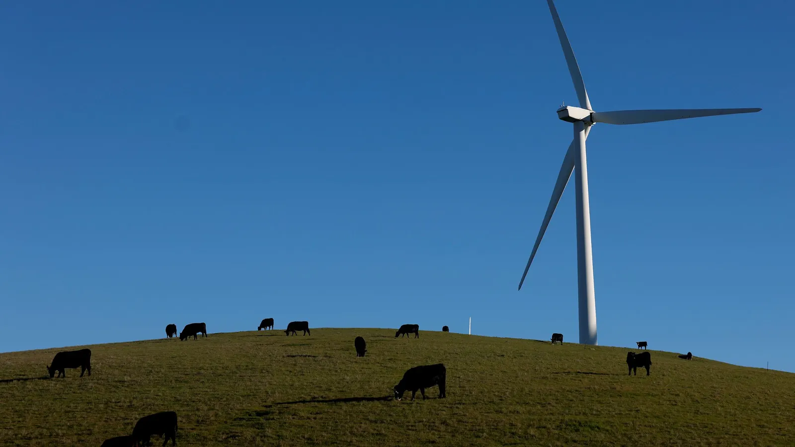 PPA-prijzen voor hernieuwbare energie stijgen 9% in 2025 terwijl opslagcontracten een vlucht nemen